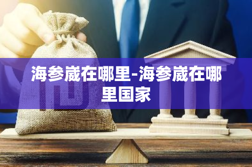 海参崴在哪里-海参崴在哪里国家-第1张图片-芙蓉之城