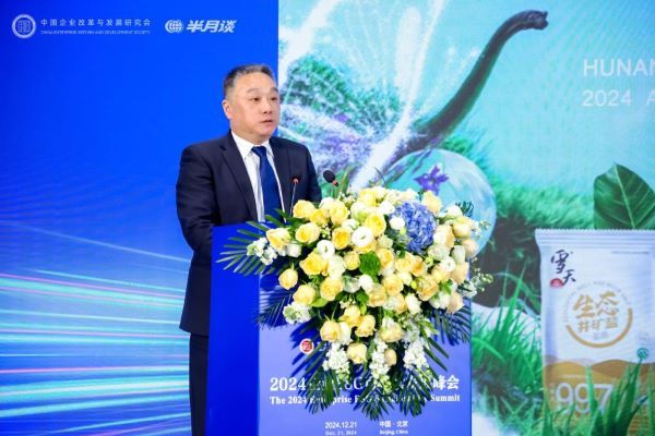 聚焦企业社会责任 推动ESG高质量发展——2024企业ESG可持续发展大会成功举办-第6张图片-芙蓉之城