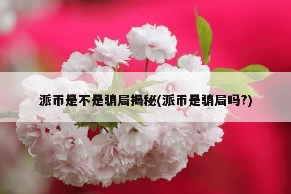 派币是不是骗局揭秘(派币是骗局吗?)-第1张图片-芙蓉之城