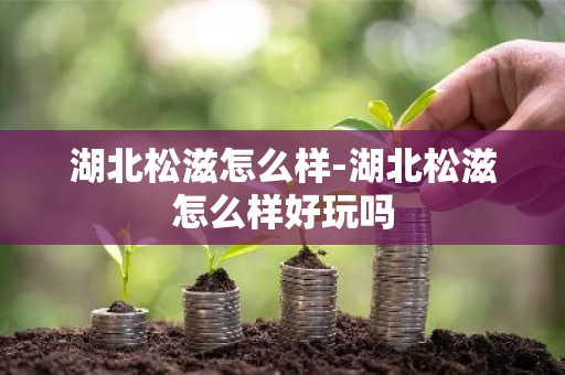 湖北松滋怎么样-湖北松滋怎么样好玩吗-第1张图片-芙蓉之城