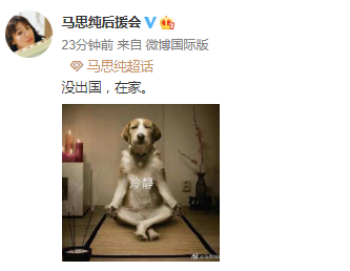 马思纯被曝全面停工出国养病 后援会辟谣：她在家-第2张图片-芙蓉之城