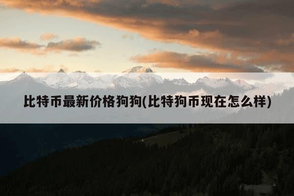 比特币最新价格狗狗(比特狗币现在怎么样)-第1张图片-芙蓉之城