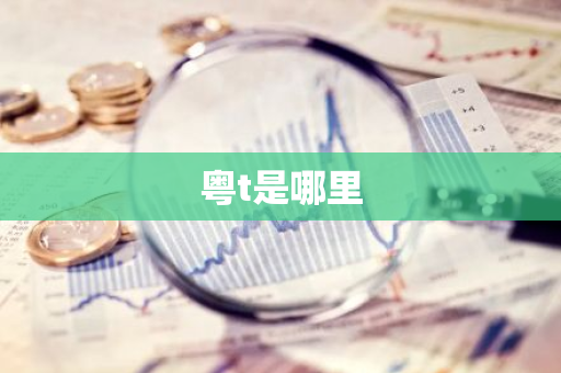 粤t是哪里-第1张图片-芙蓉之城