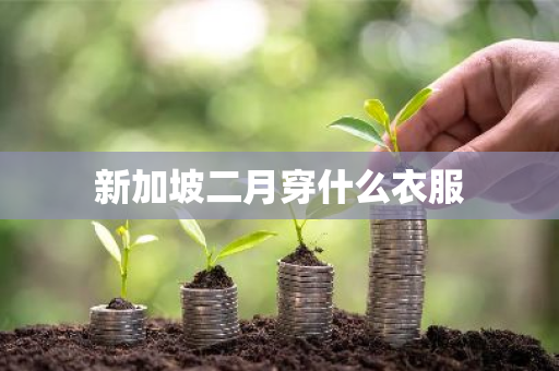 新加坡二月穿什么衣服-第1张图片-芙蓉之城