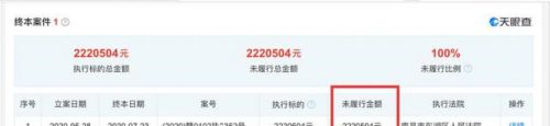 虞书欣工作室再发文 虞书欣妈妈被限制消费是怎么回事-第4张图片-芙蓉之城