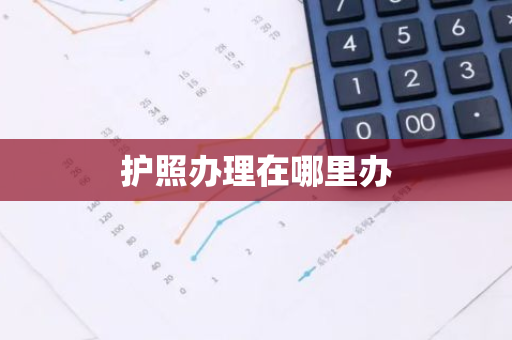 护照办理在哪里办-第1张图片-芙蓉之城