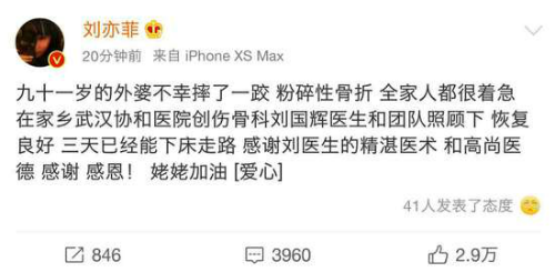 外婆不慎跌倒粉碎性骨折 刘亦菲发文感谢医生照顾-第1张图片-芙蓉之城
