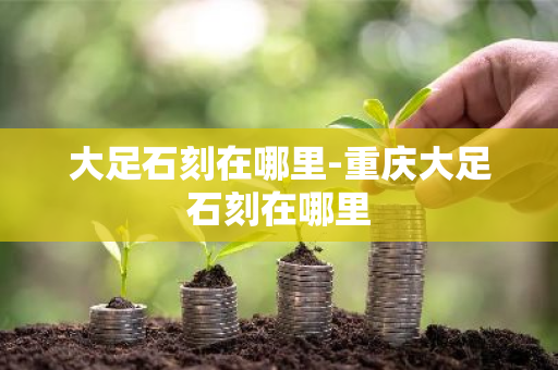 大足石刻在哪里-重庆大足石刻在哪里-第1张图片-芙蓉之城