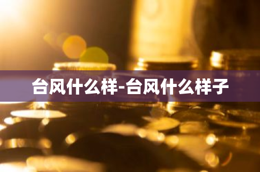 台风什么样-台风什么样子-第1张图片-芙蓉之城