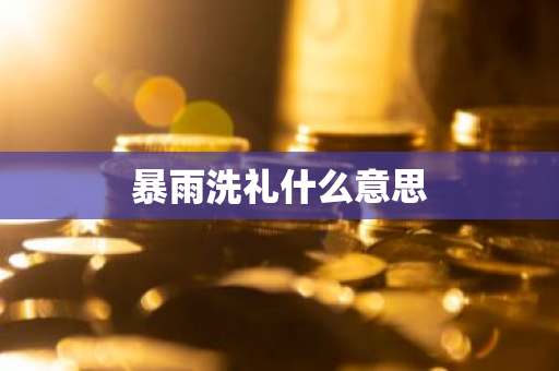 暴雨洗礼什么意思-第1张图片-芙蓉之城