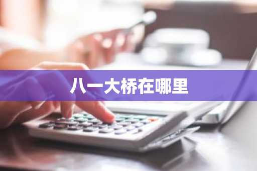 八一大桥在哪里-第1张图片-芙蓉之城