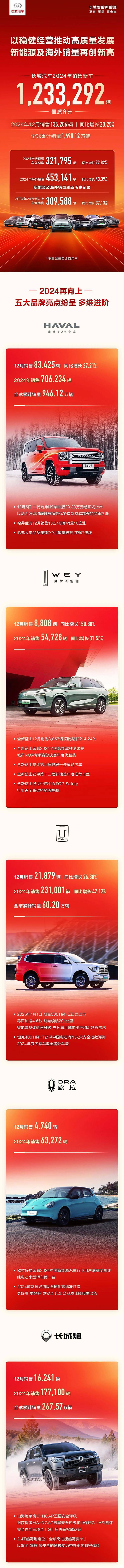 2024年销量快报：中国新能源车销量超1000万辆 哪些车企贡献突出?-第16张图片-芙蓉之城
