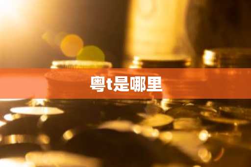 粤t是哪里-第1张图片-芙蓉之城