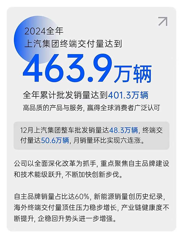 2024年销量快报：中国新能源车销量超1000万辆 哪些车企贡献突出?-第6张图片-芙蓉之城