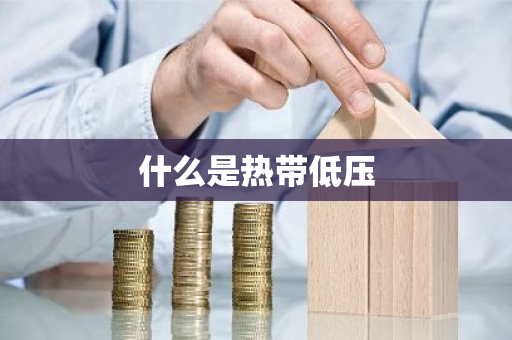 什么是热带低压-第1张图片-芙蓉之城