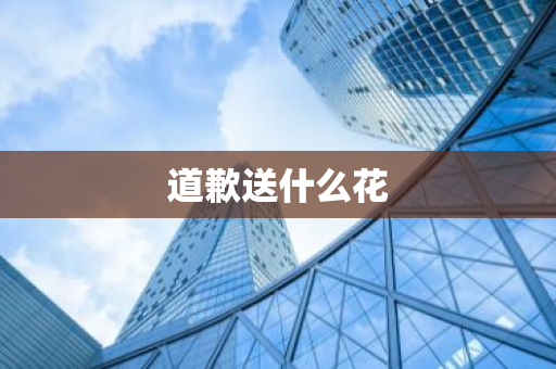 道歉送什么花-第1张图片-芙蓉之城