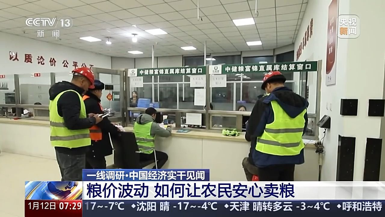 秋粮收购进入高峰期，如何保证农民卖得安心？-第1张图片-芙蓉之城