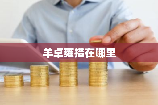 羊卓雍措在哪里-第1张图片-芙蓉之城
