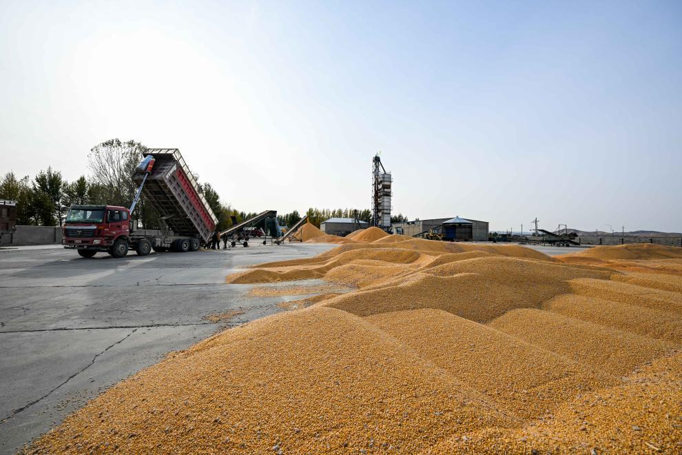 中国饭碗里装了更多中国粮 2024年我国粮食产量首次突破1.4万亿斤-第3张图片-芙蓉之城