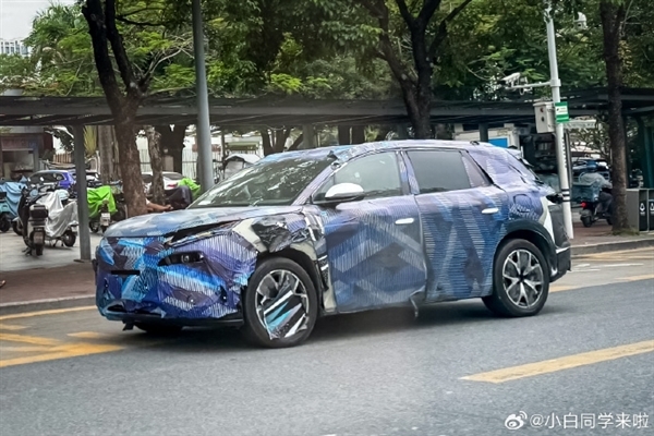 比亚迪唐L内饰谍照曝光：二排独立座椅、豪华感大增！-第2张图片-芙蓉之城