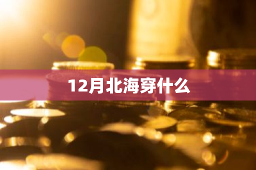 12月北海穿什么-第1张图片-芙蓉之城