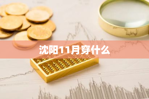 沈阳11月穿什么-第1张图片-芙蓉之城