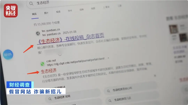 假冒网站频现，央视揭露3.06诈骗伎俩-第1张图片-芙蓉之城