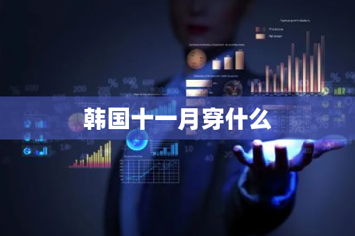 韩国十一月穿什么-第1张图片-芙蓉之城