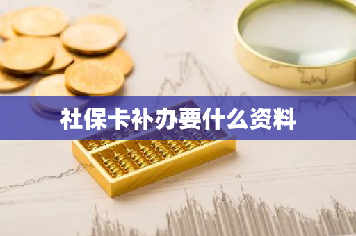 社保卡补办要什么资料-第1张图片-芙蓉之城