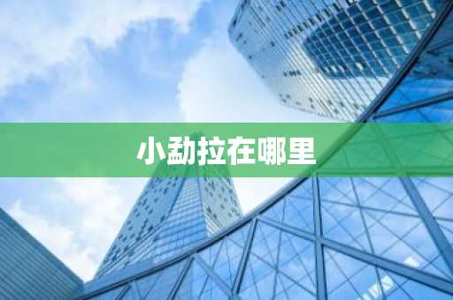 小勐拉在哪里-第1张图片-芙蓉之城