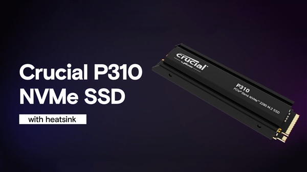 疯了吧！英睿达P310 SSD新增散热片 得多花284元-第1张图片-芙蓉之城