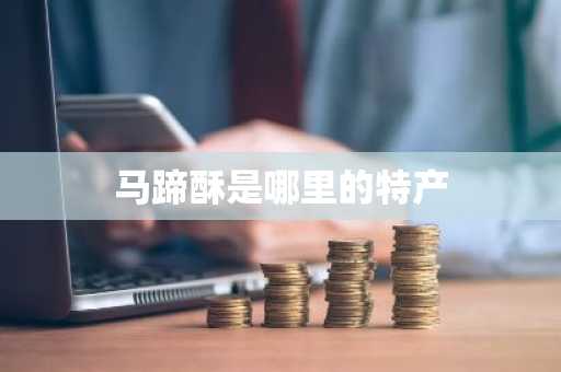 马蹄酥是哪里的特产-第1张图片-芙蓉之城
