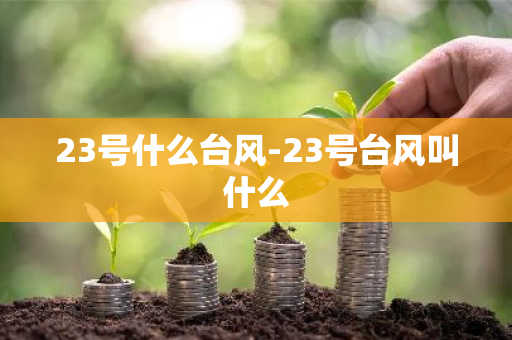 23号什么台风-23号台风叫什么-第1张图片-芙蓉之城