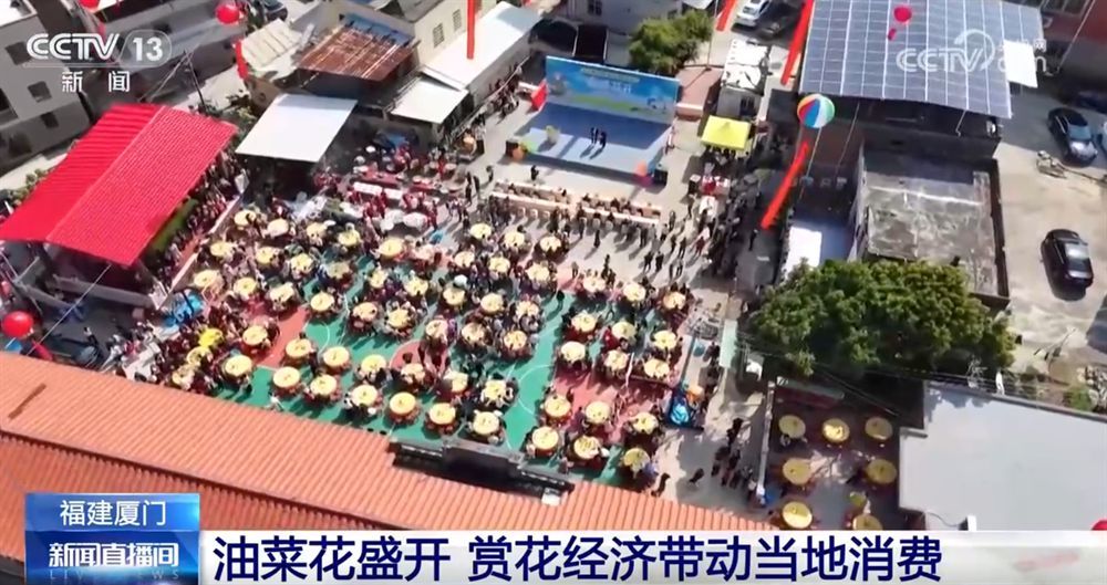 “赏花经济”带动文旅市场春潮涌动 为城乡消费注入蓬勃动能-第2张图片-芙蓉之城