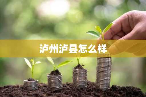 泸州泸县怎么样-第1张图片-芙蓉之城