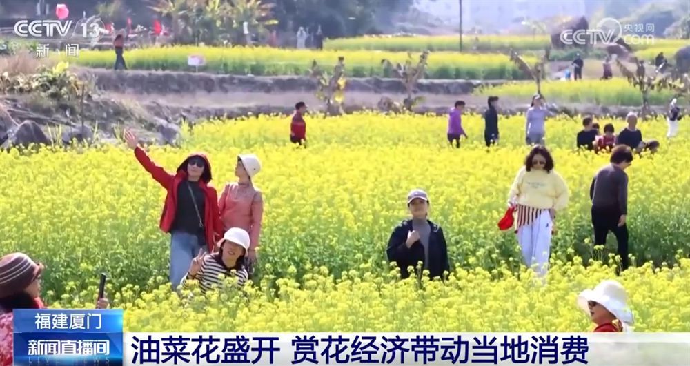 “赏花经济”带动文旅市场春潮涌动 为城乡消费注入蓬勃动能-第1张图片-芙蓉之城