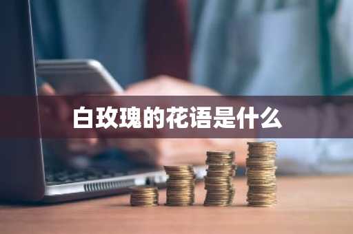 白玫瑰的花语是什么-第1张图片-芙蓉之城