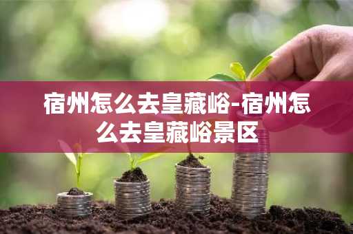 宿州怎么去皇藏峪-宿州怎么去皇藏峪景区-第1张图片-芙蓉之城