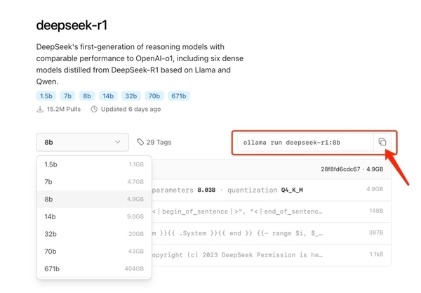 服务器总是繁忙 DeepSeek-R1本地部署图文版教程来了-第6张图片-芙蓉之城