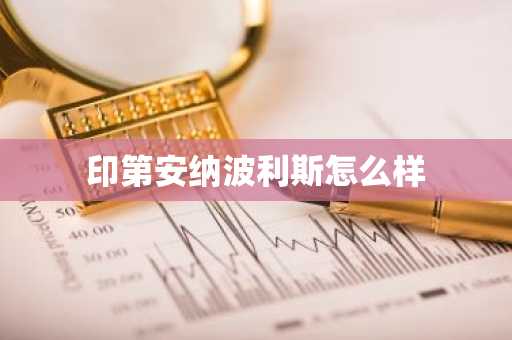 印第安纳波利斯怎么样-第1张图片-芙蓉之城