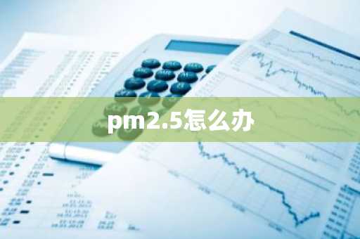 pm2.5怎么办-第1张图片-芙蓉之城