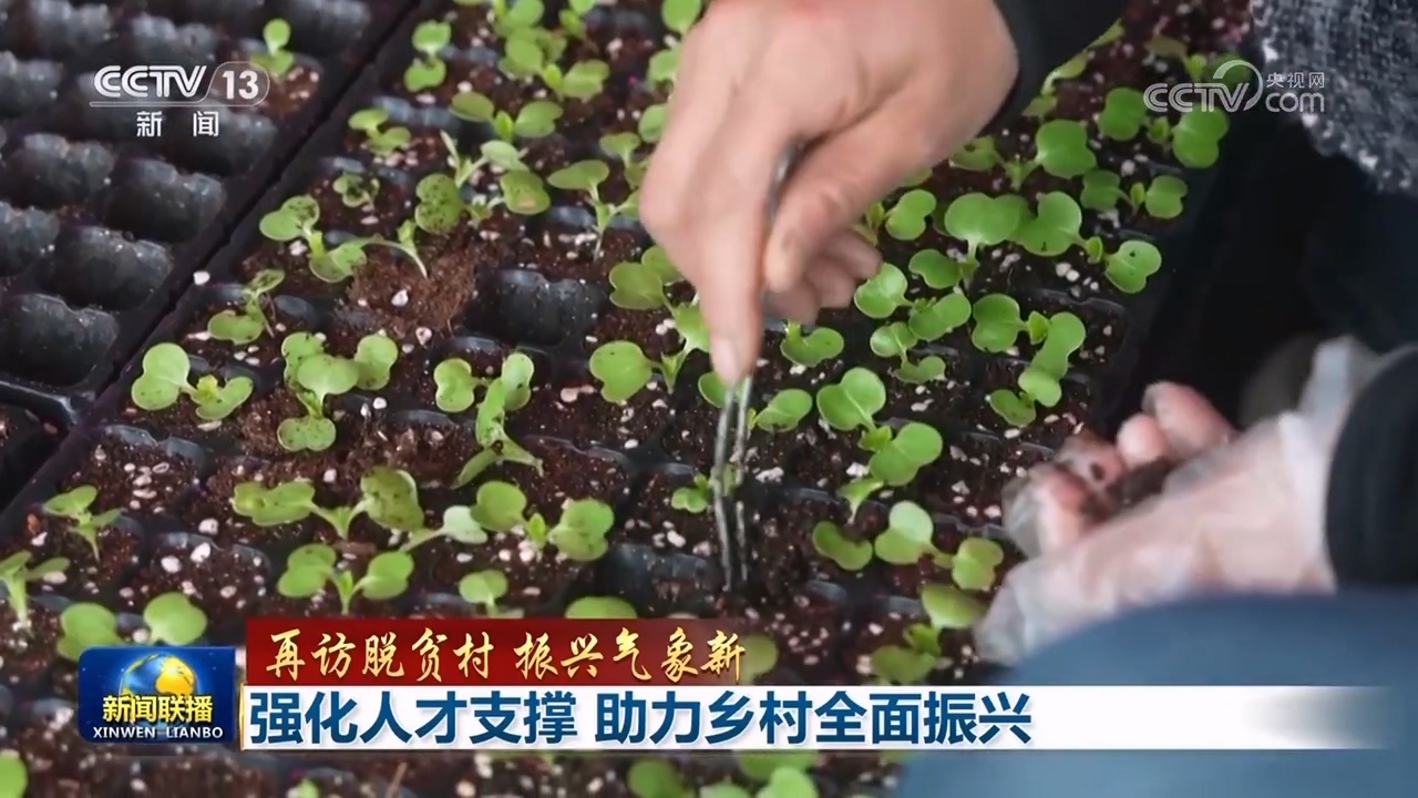 【再访脱贫村 振兴气象新】强化人才支撑 助力乡村全面振兴-第1张图片-芙蓉之城