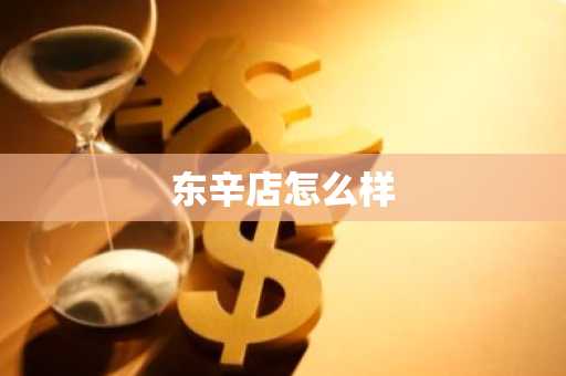 东辛店怎么样-第1张图片-芙蓉之城