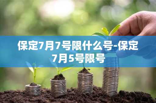 保定7月7号限什么号-保定7月5号限号-第1张图片-芙蓉之城