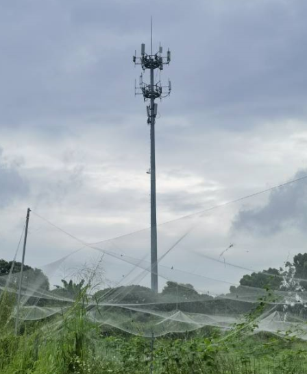 中国移动完成2.6GHz+4.9GHz双频基站智能功率调配技术验证-第1张图片-芙蓉之城