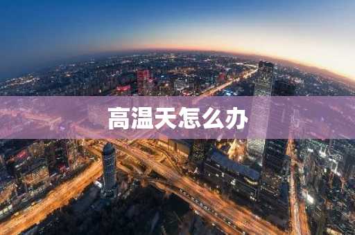 高温天怎么办-第1张图片-芙蓉之城