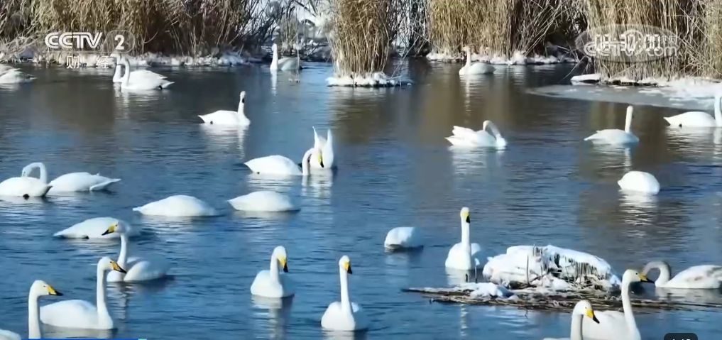 雪域风光“邂逅”民俗风情 大美新疆春节氛围感十足-第6张图片-芙蓉之城