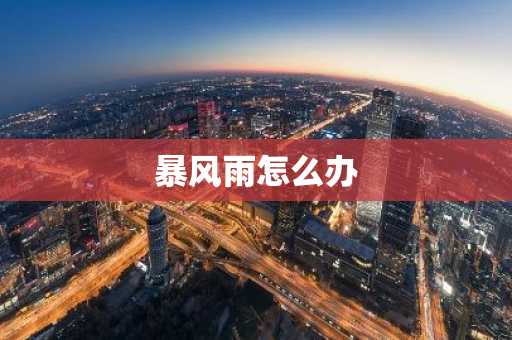 暴风雨怎么办-第1张图片-芙蓉之城
