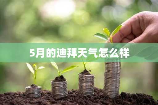 5月的迪拜天气怎么样-第1张图片-芙蓉之城