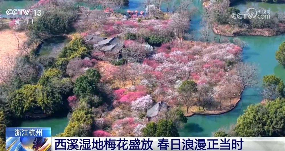 “赏花经济”带动文旅市场春潮涌动 为城乡消费注入蓬勃动能-第5张图片-芙蓉之城